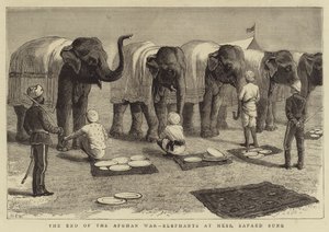 アフガン戦争の終焉、メスの象、サファエド・ソン 作： Samuel Edmund Waller